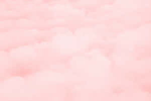Pink pictures — Ligpienk estetika Muurpapier