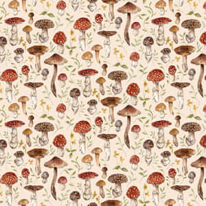 Estetiese Vintage Oulike Pampoen Beige — Sampioen-estetiek Muurpapier