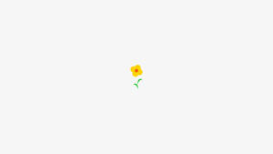Estetiese Wit Sonneblom — Esteties wit Muurpapier