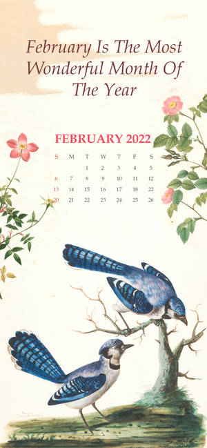 Februarie 2022 Kalender Met Blou Voëls agtergrond — iPhone 18 Pro Max Muurpapier
