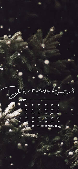 Minimalistiese Desember Kersfees iPhone-agtergrond — Kersfees iPhone Muurpapier