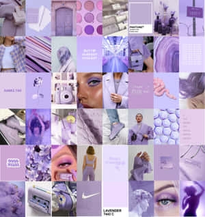 Pers Collage — Pers estetiese GIF Muurpapier
