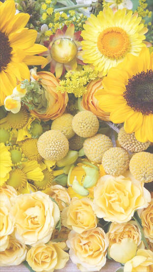 Geel Blomme iPhone — Blom Muurpapier