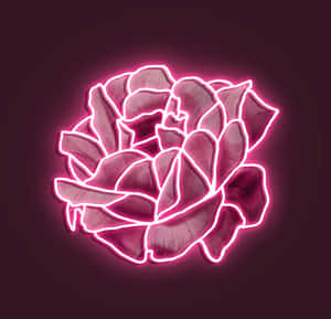 Neonpienk estetiese prente — Neon pienk esteties Muurpapier