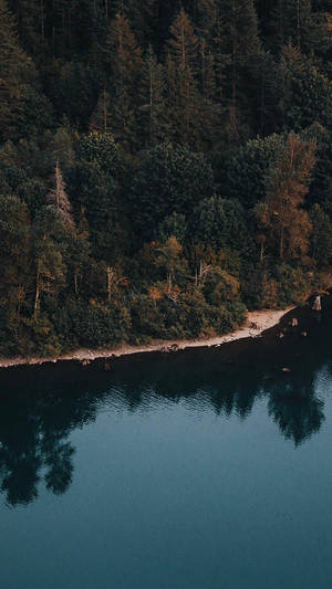 Meer by 'n welige woud lugfoto iPhone XR agtergrond — iPhone Xr Muurpapier