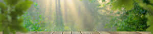 4K Natuuragtergrond — 4K natuur GIF Muurpapier