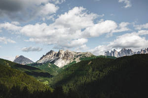 Skilderagtige berge in somer-agtergrond.