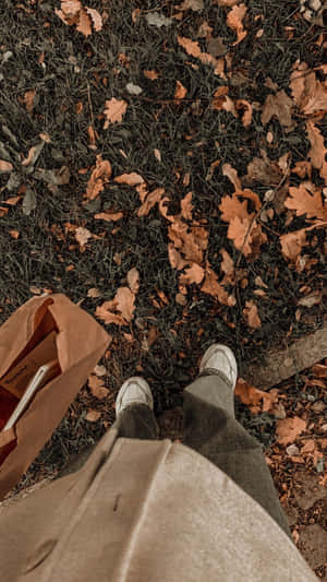 Aesthetic Brown prente — Ligbruin estetiese Muurpapier