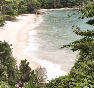 Eksotiese strandkus-agtergrond.