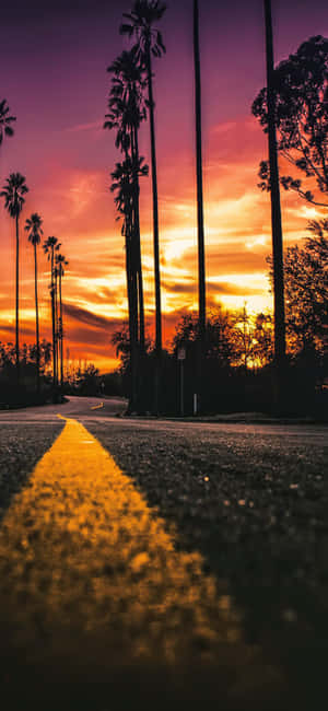 iPhone X Kalifornië-agtergrond — Vivo S Muurpapier