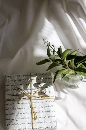 Geskenkboks Plant Estetika — Plant Aesthetic Muurpapier