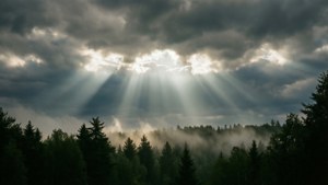 Sonstrale wat deur wolke breek oor 'n mistige woud. — Luguitsig Muurpapier