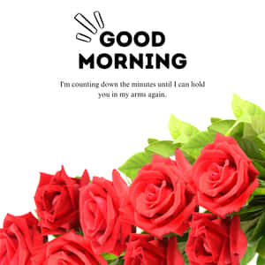 Goeie More My Liefde Afteleggroete — Goeie more my lief Muurpapier