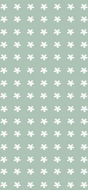 Groen Estetiese agtergrond — iPhone 14 Pro Muurpapier