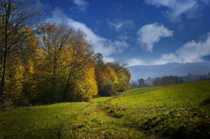 Groen Veld in Herfsnatuurtoncel muurpapier