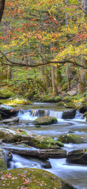 Great Smoky Mountains Nasionale Park Rivier Rotsagtig — Vivo X500 Muurpapier