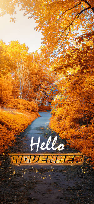 Hallo November geel tuinpaadjie agtergrond — iPhone 12 Pro Muurpapier