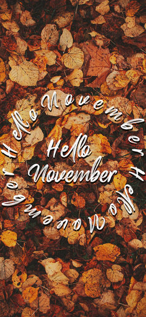 Hallo November op herfsblare agtergrond — iPhone 14 Pro Muurpapier