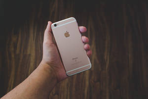 Hand wat roosgoud iPhone 6 agtergrond vashou — iPhone Se Muurpapier