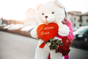 Vrou Hou Teddy Ek Lief Jou So Baie — Ek is so lief vir jou Muurpapier