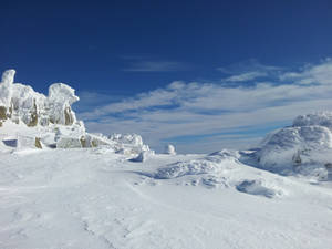 Heel sneeury winter agtergrond
