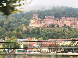 Heidelberg-kasteel op Jettenbühl-heuwel — Mistige bos Muurpapier