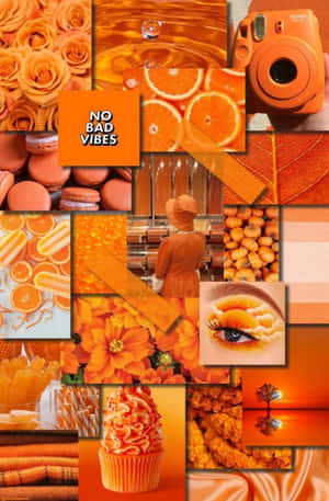 Oranje Estetiek prente — Oranje estetiese GIF Muurpapier