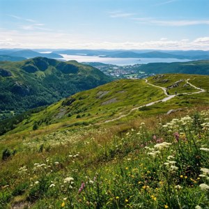 Lewendige heuweltopuitsig van Tønsberg met veldblomme en fjord — Pixel Watch 5 Muurpapier