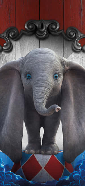 Oulike Olifant Prente — IQOO Z10x Muurpapier