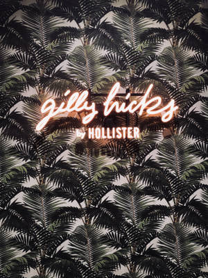 Hollister palmboomblare plakpapier — 3:4 Muurpapier