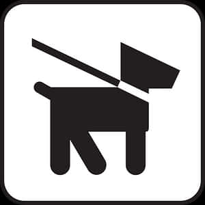 Hond aan Lyn Teken Ikoon