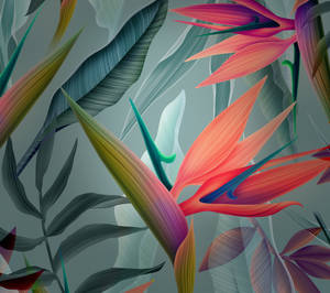 Huawei Blare Skildery muurpapier — Huawei Muurpapier