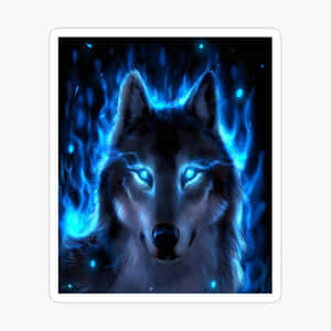 Koel Wolf prente — Koel wolf Muurpapier