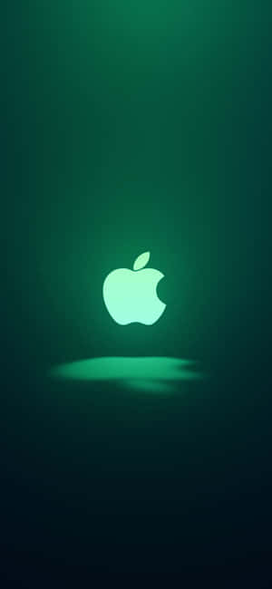 iPhone 11 Groen — iPhone 13 Pro Max Muurpapier