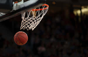 Beste Basketbal agtergrond