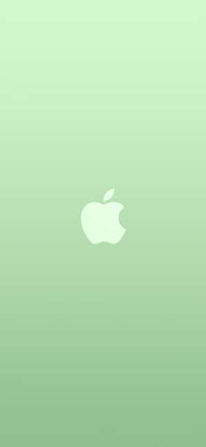 iPhone 11 Groen — Pixel 7 Pro Muurpapier