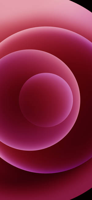 iPhone 12 Pro Pienk Bolle — iPhone 12 Pro Muurpapier