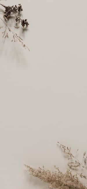 Iphone X Minimale Agtergrond — Vivo S30 Pro mini Muurpapier