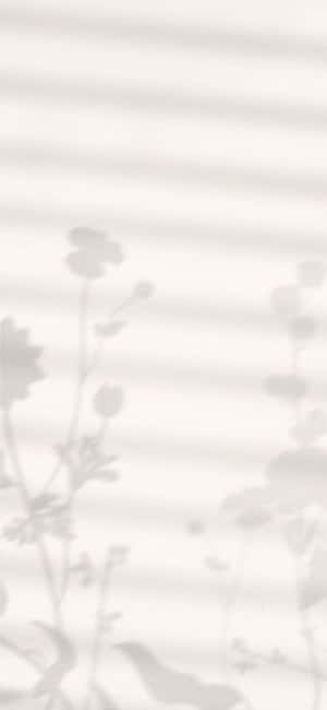 iPhone X Minimal Agtergrond — Galaxy M56 Muurpapier