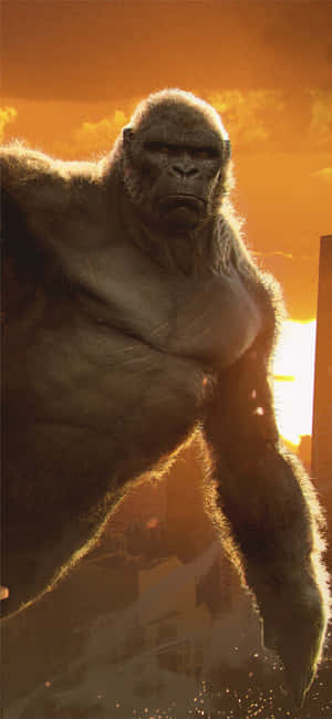 Iphone Xs Max Gorilla Agtergrond — Vivo Y600 Turbo Muurpapier