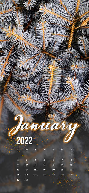 Januarie 2022 wit pynboom-agtergrond — iPhone 16 Muurpapier