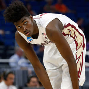 Jonathan Isaac Buig Onder — Basketbal GIF Muurpapier