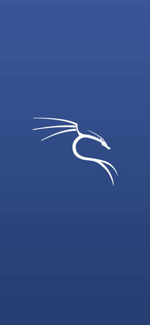Kali Linux agtergrond — Xiaomi Civi 4 Pro Muurpapier
