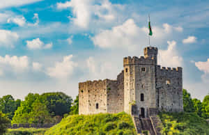 Kasteel Cardiff omring deur bome in Cardiff, Wallis — Buro-estetika Muurpapier