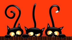 Kawaii Halloween Swart Katte — Kawaii halloween Muurpapier
