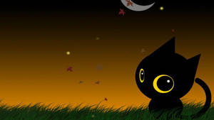 Kawaii Halloween Kat Op Gras — Kawaii halloween Muurpapier