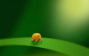 Klein Olifant Oulike Lessenaar — Oulik lessenaar Muurpapier