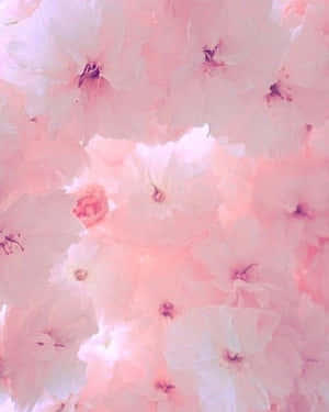 Pastel pienk estetiese prente — Pastel pienk estetika Muurpapier