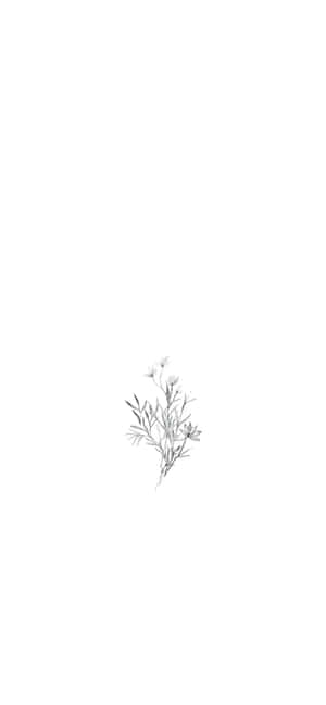 Kunsskets-prente — ZTE Blade V80 Pro Muurpapier