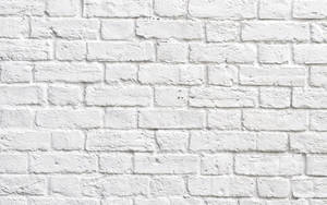 Klipmuur Stene Met Wit Verf — Wit estetiese Muurpapier